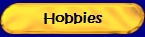 Hobbies